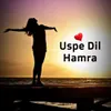 About Uspe Dil Hamra Song